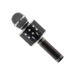 WSTER WS-858 Wireless Microphone and Hifi Speaker